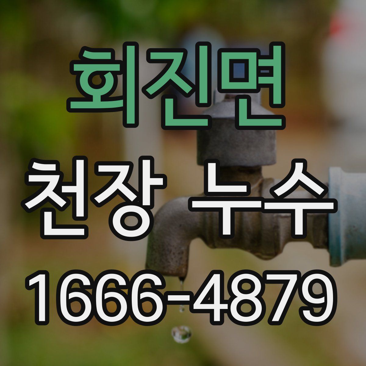 회진면 천장 누수