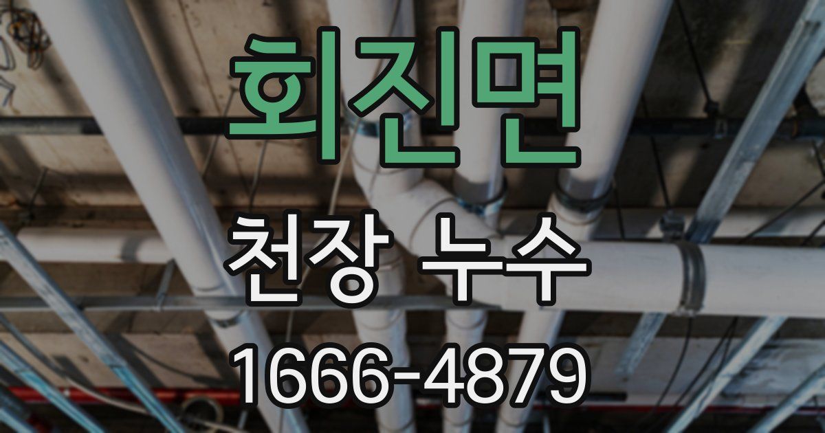 회진면 천장 누수