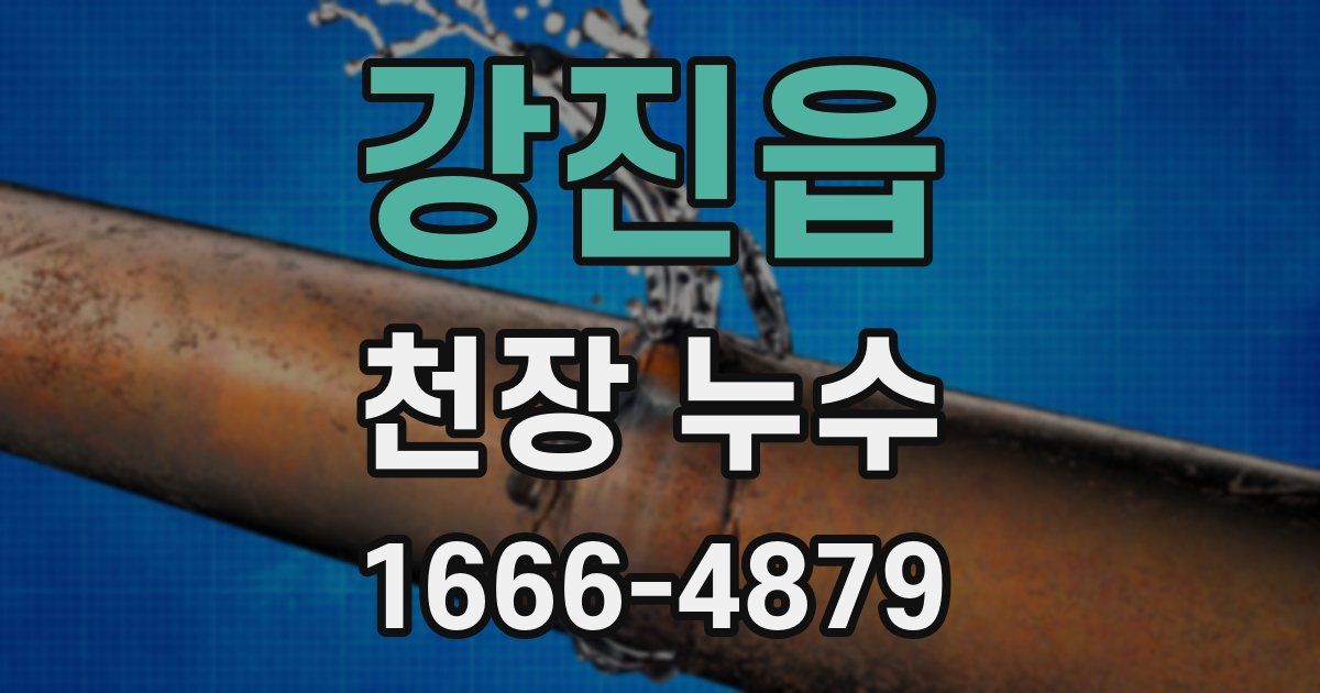 강진읍 천장 누수