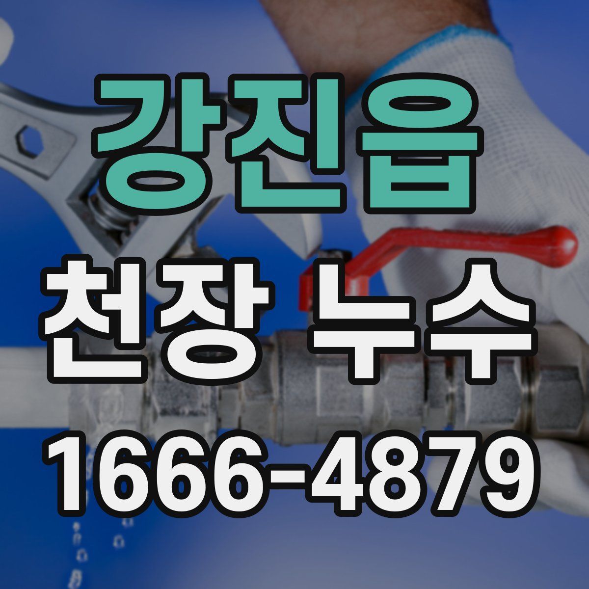 강진읍 천장 누수