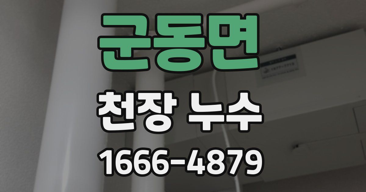 군동면 천장 누수
