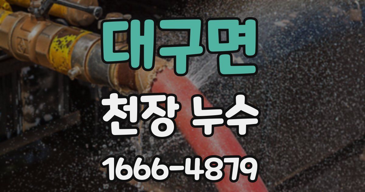 대구면 천장 누수