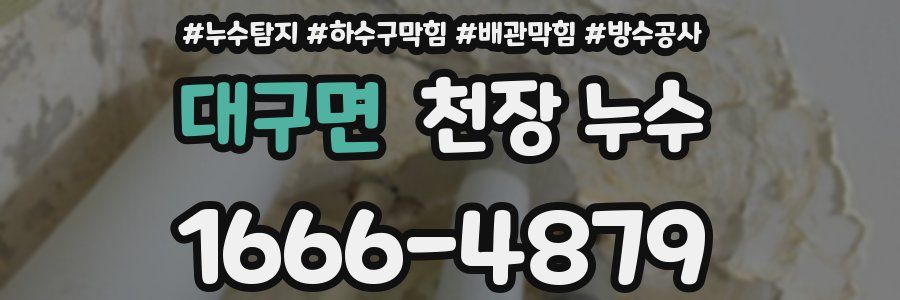 대구면 천장 누수