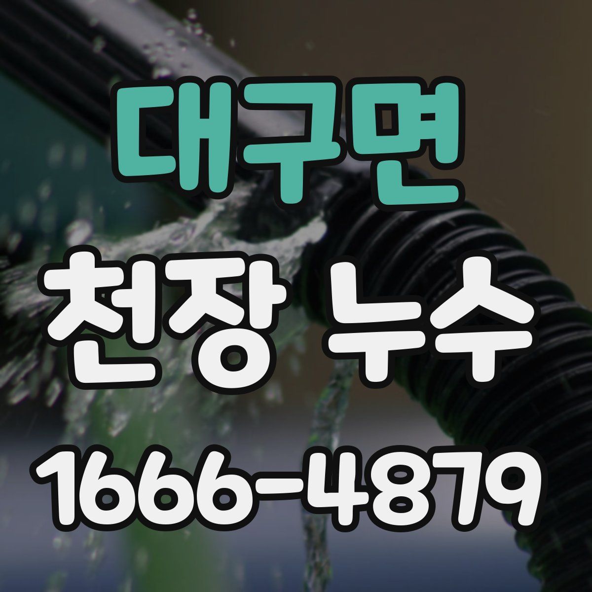 대구면 천장 누수