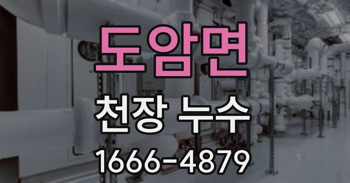 도암면 천장 누수