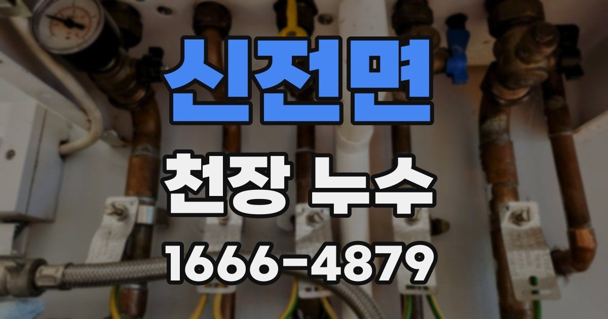 신전면 천장 누수