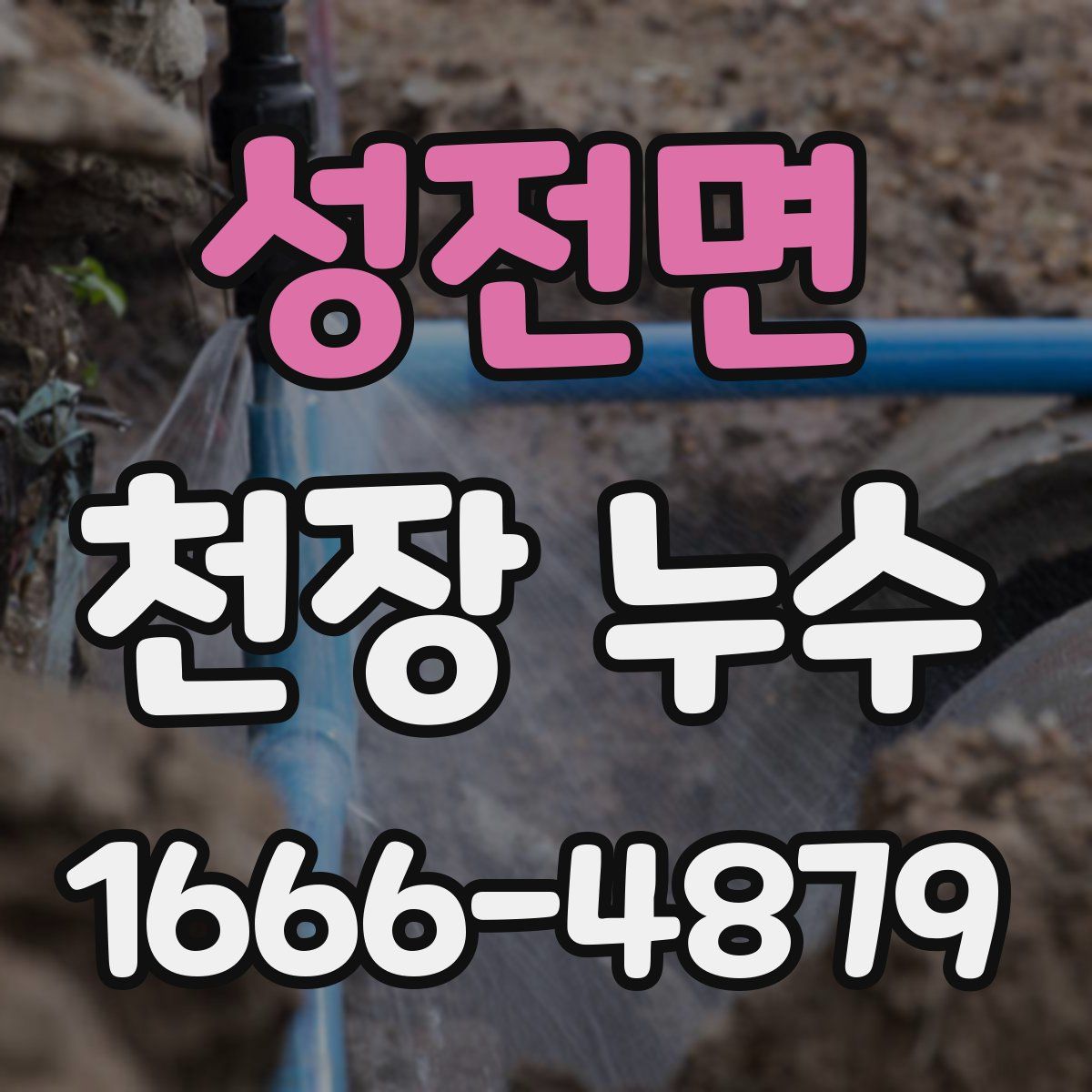 성전면 천장 누수