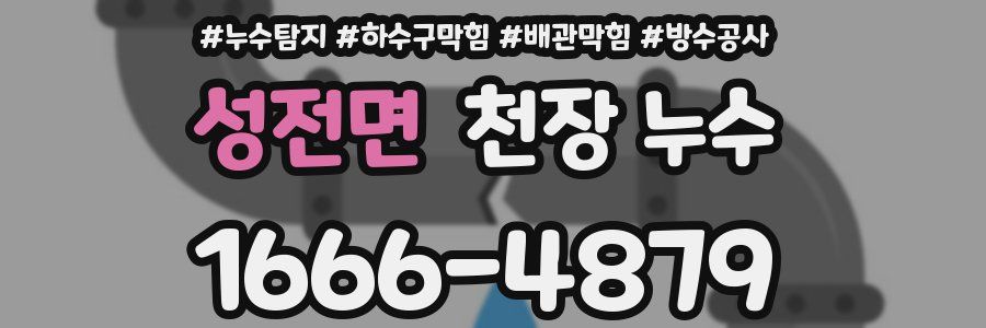 성전면 천장 누수