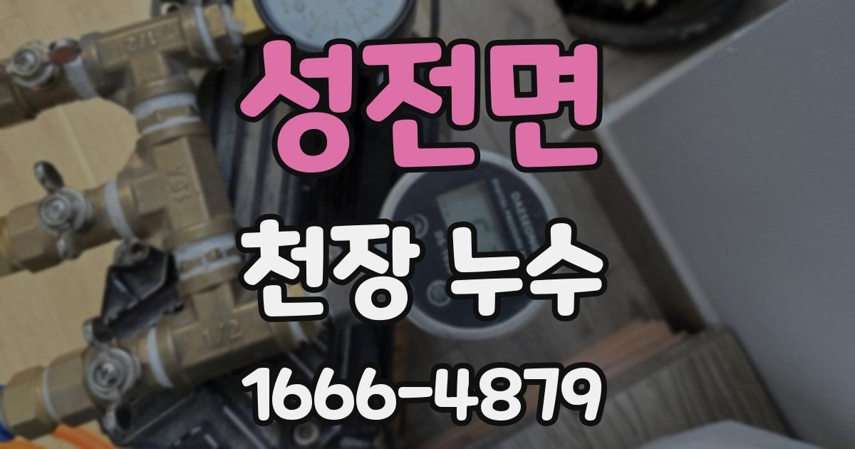 성전면 천장 누수