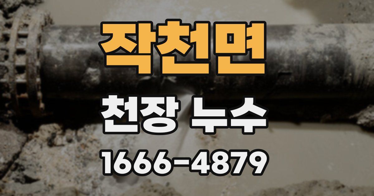 작천면 천장 누수