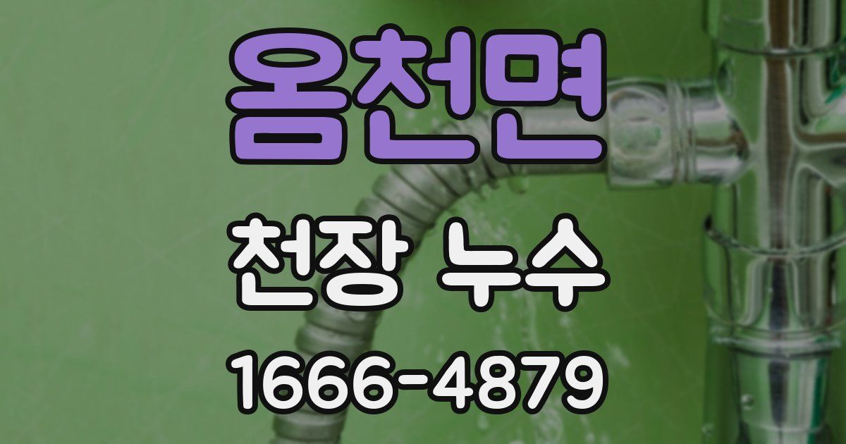 옴천면 천장 누수