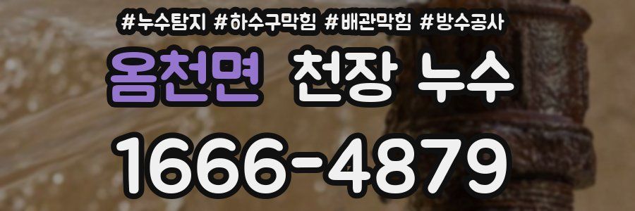 옴천면 천장 누수
