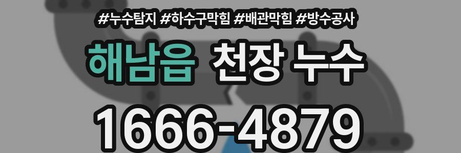 해남읍 천장 누수