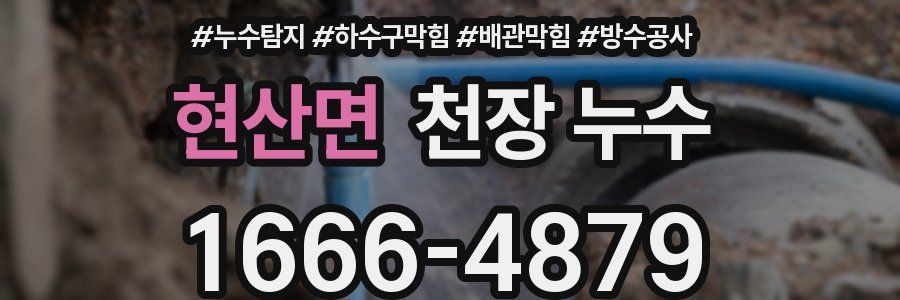 현산면 천장 누수