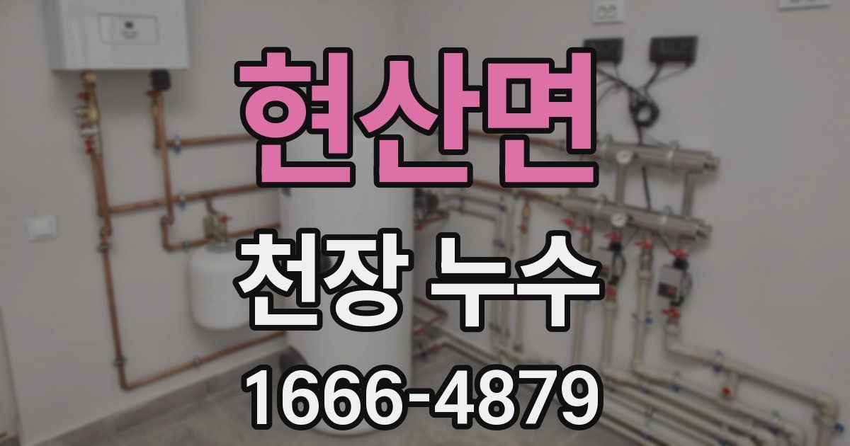 현산면 천장 누수