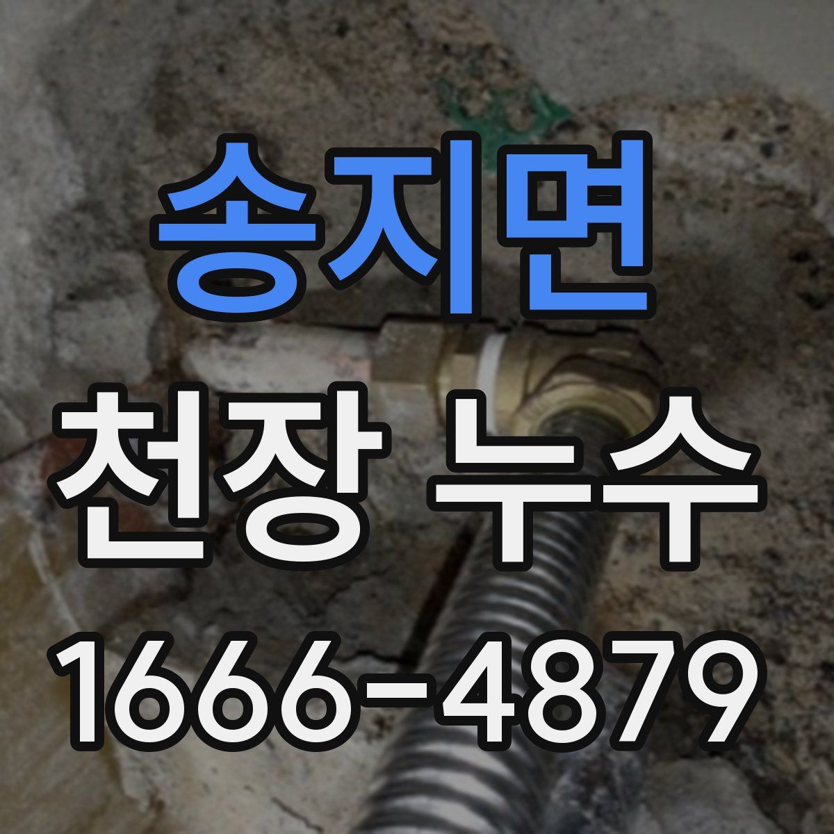송지면 천장 누수