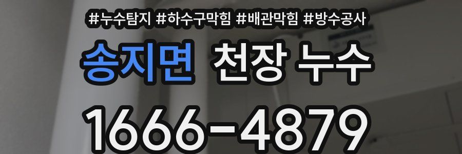 송지면 천장 누수