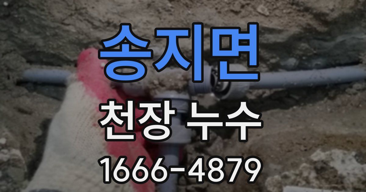 송지면 천장 누수