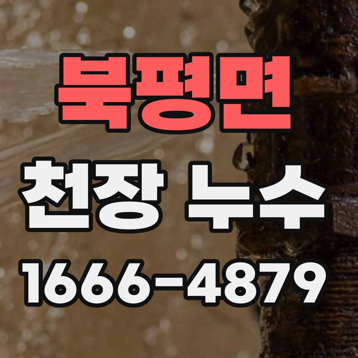 북평면 천장 누수