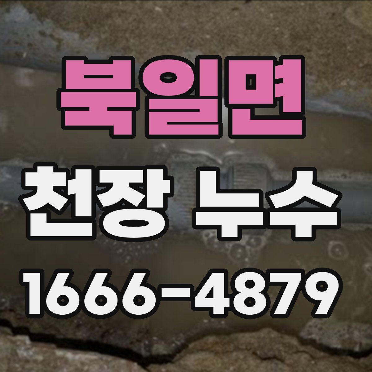 북일면 천장 누수