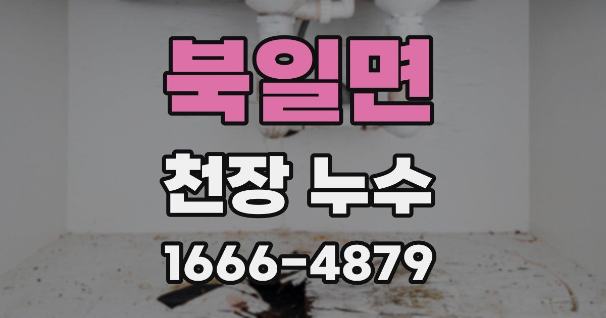 북일면 천장 누수