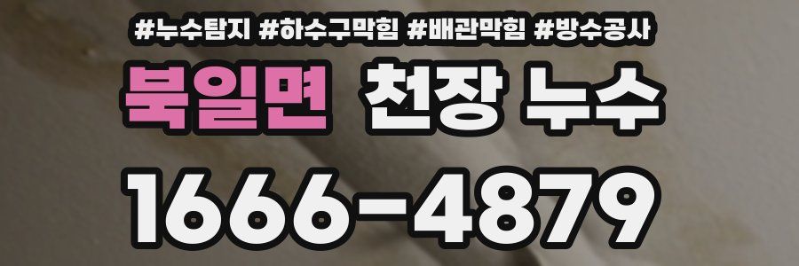 북일면 천장 누수