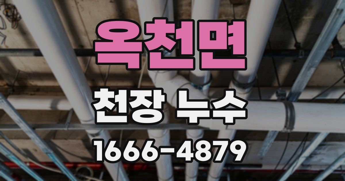옥천면 천장 누수