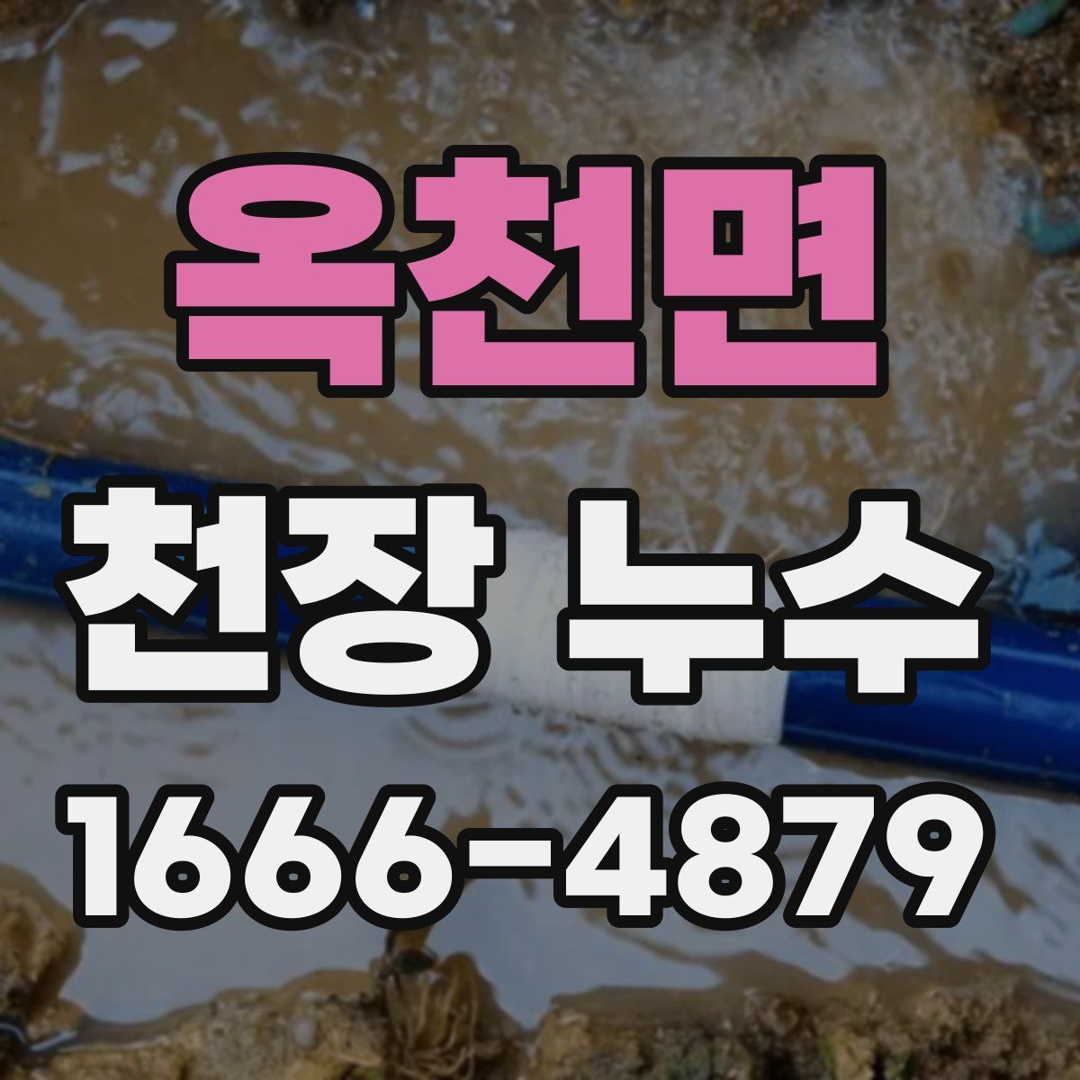 옥천면 천장 누수