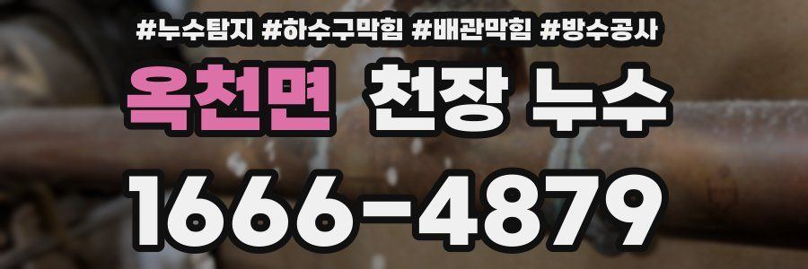 옥천면 천장 누수