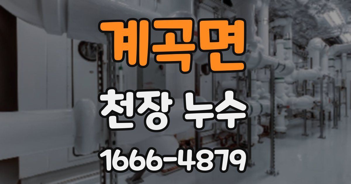 계곡면 천장 누수