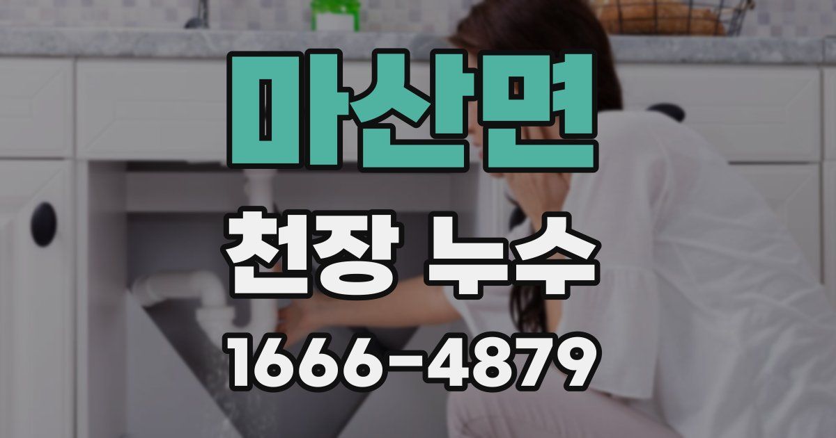 마산면 천장 누수