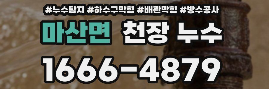 마산면 천장 누수