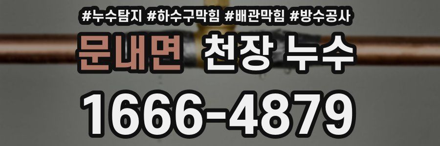 문내면 천장 누수