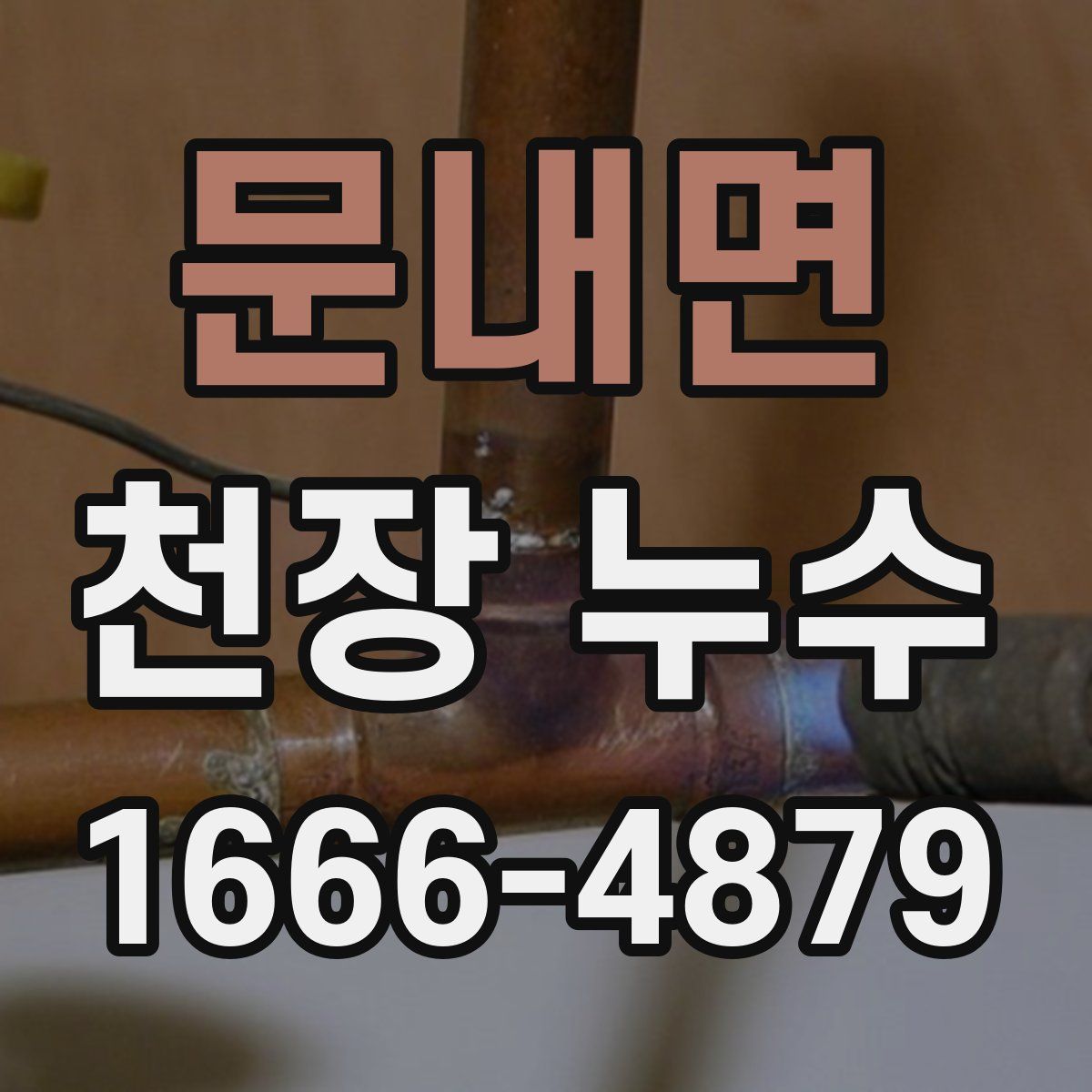 문내면 천장 누수