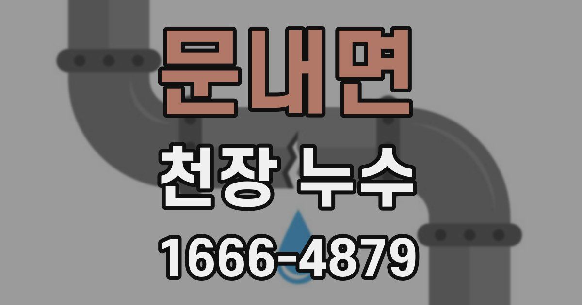 문내면 천장 누수