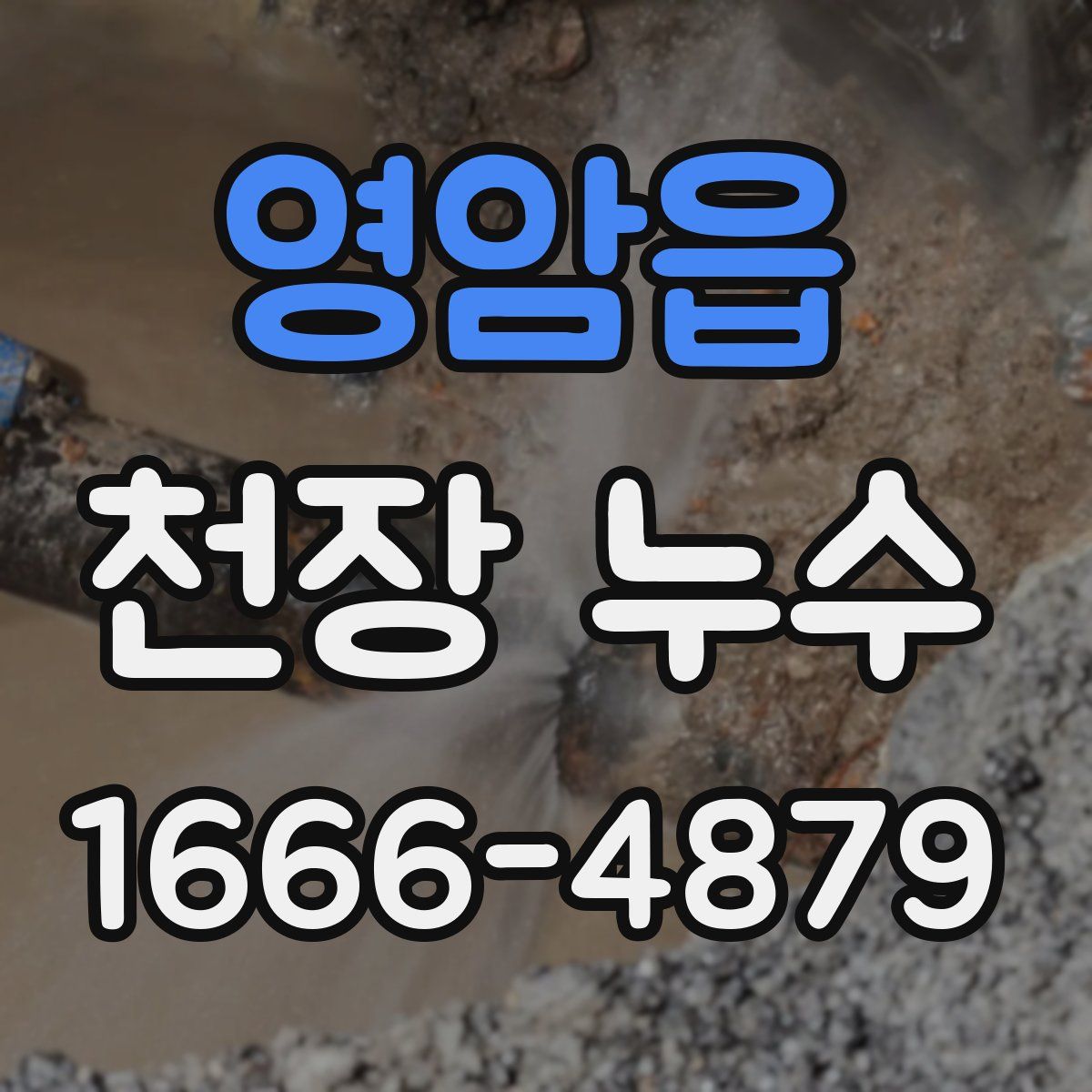 영암읍 천장 누수