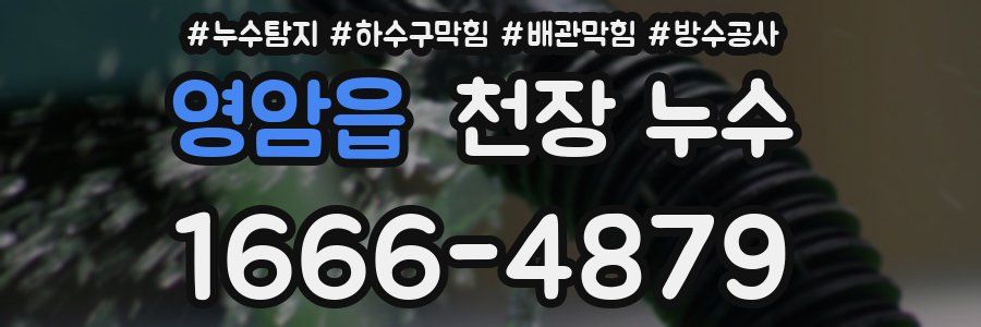 영암읍 천장 누수