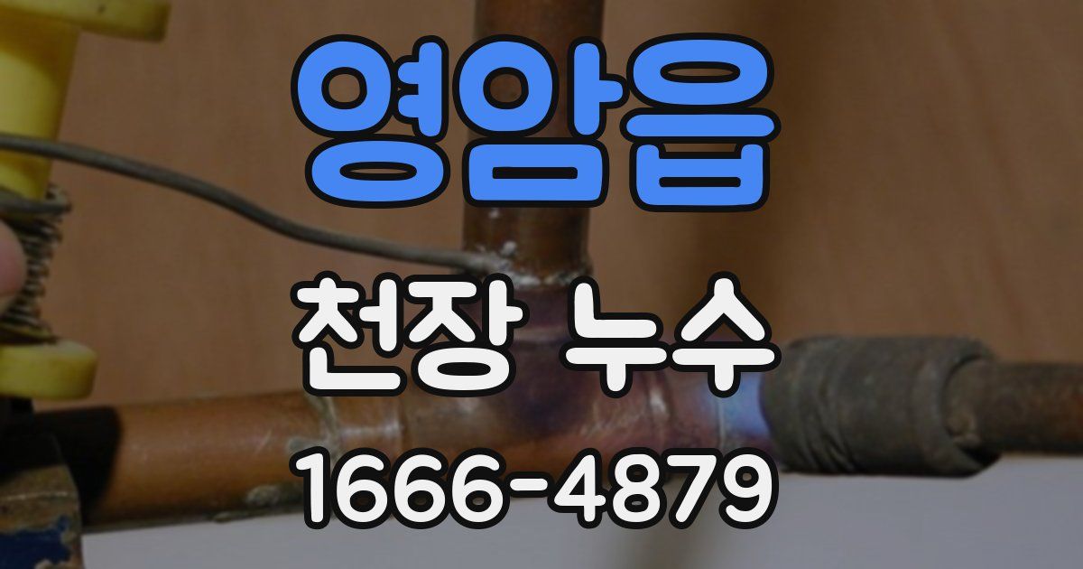 영암읍 천장 누수