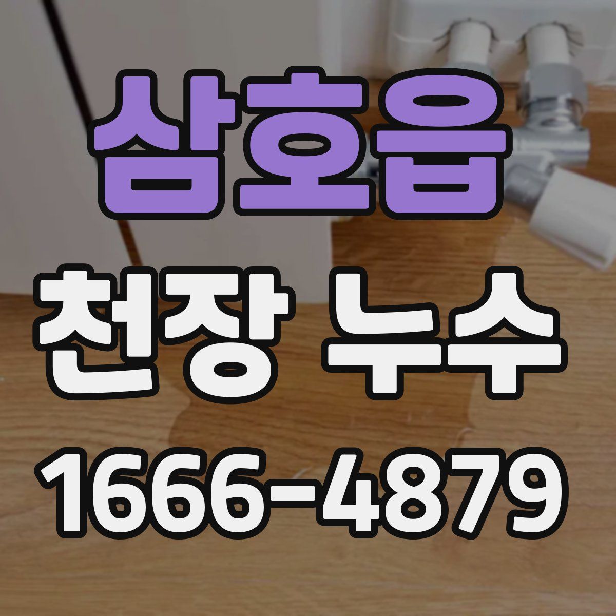 삼호읍 천장 누수