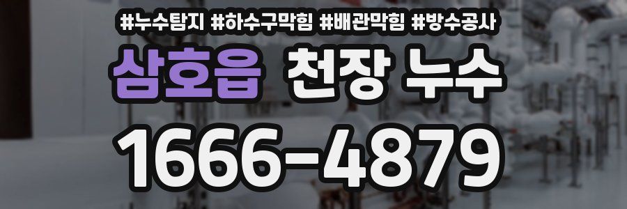 삼호읍 천장 누수