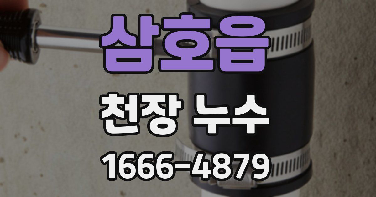 삼호읍 천장 누수