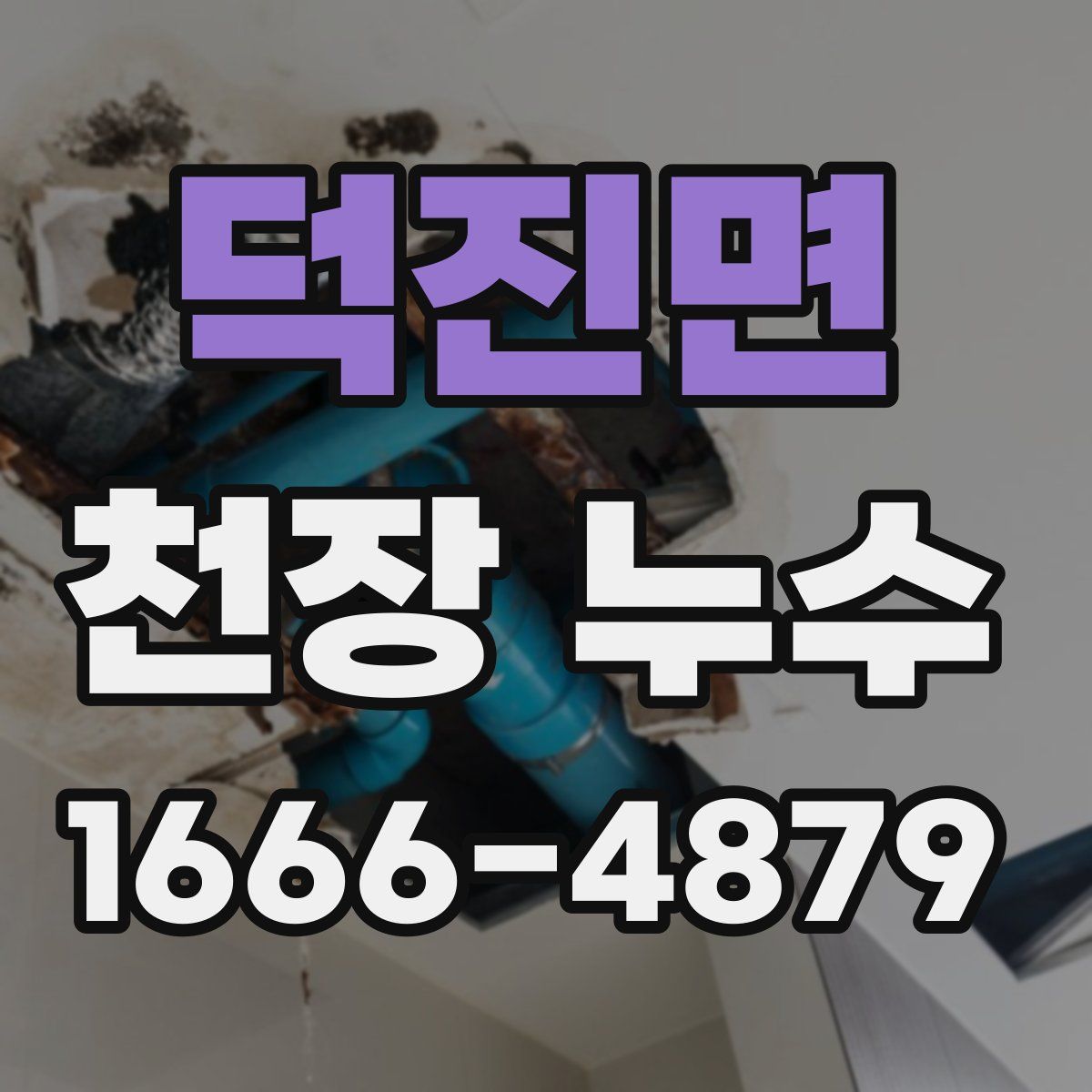 덕진면 천장 누수
