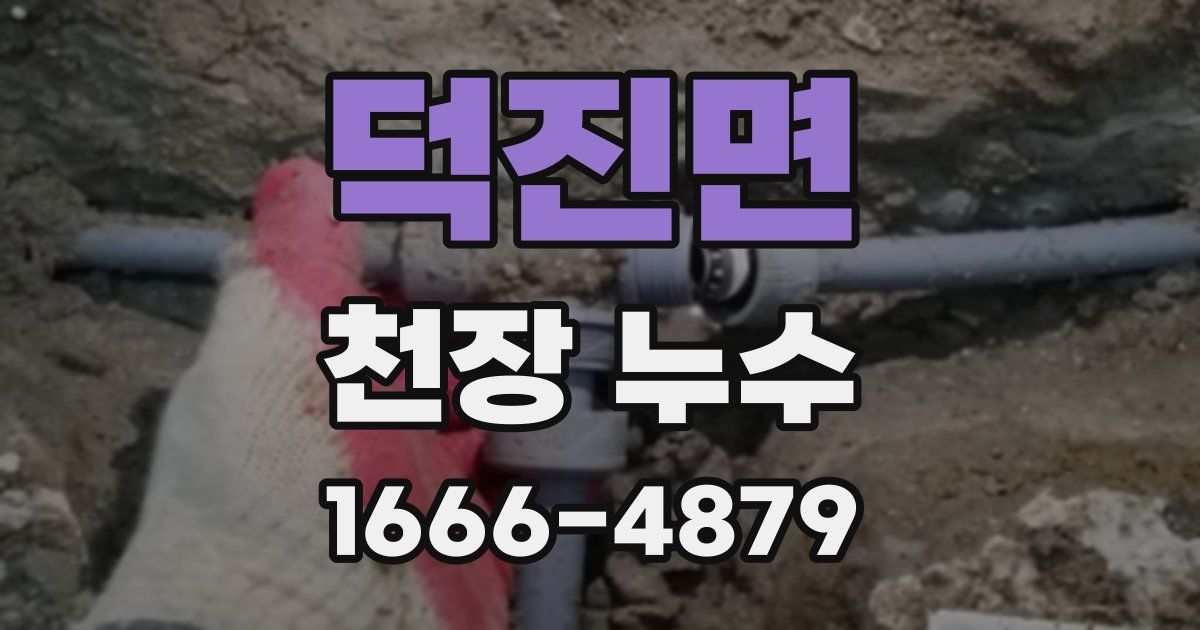 덕진면 천장 누수