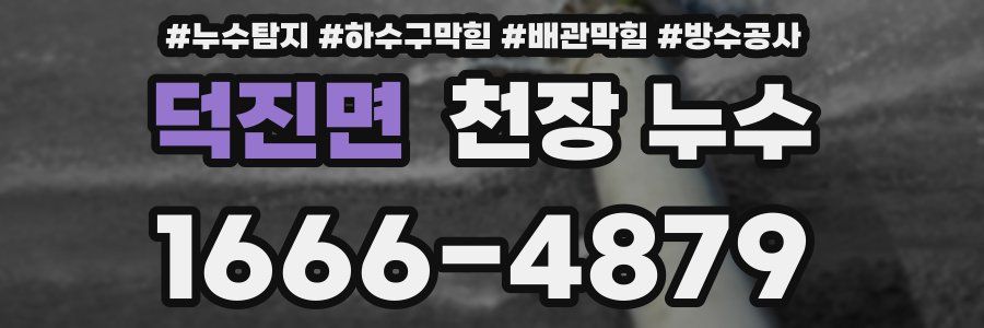 덕진면 천장 누수