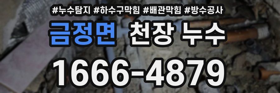 금정면 천장 누수
