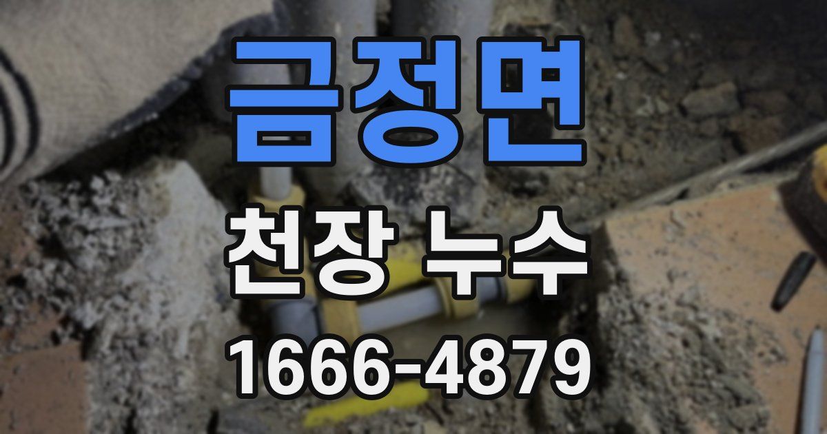 금정면 천장 누수