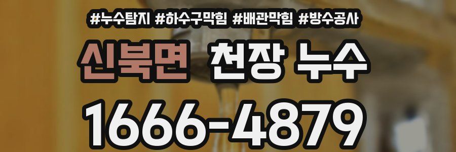 신북면 천장 누수