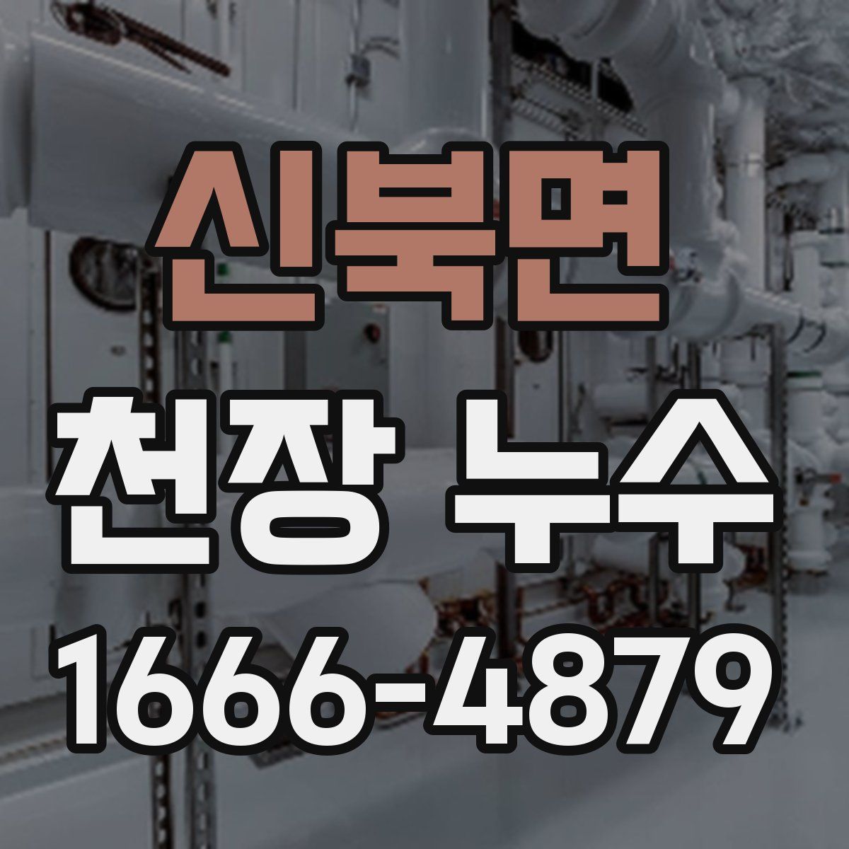 신북면 천장 누수