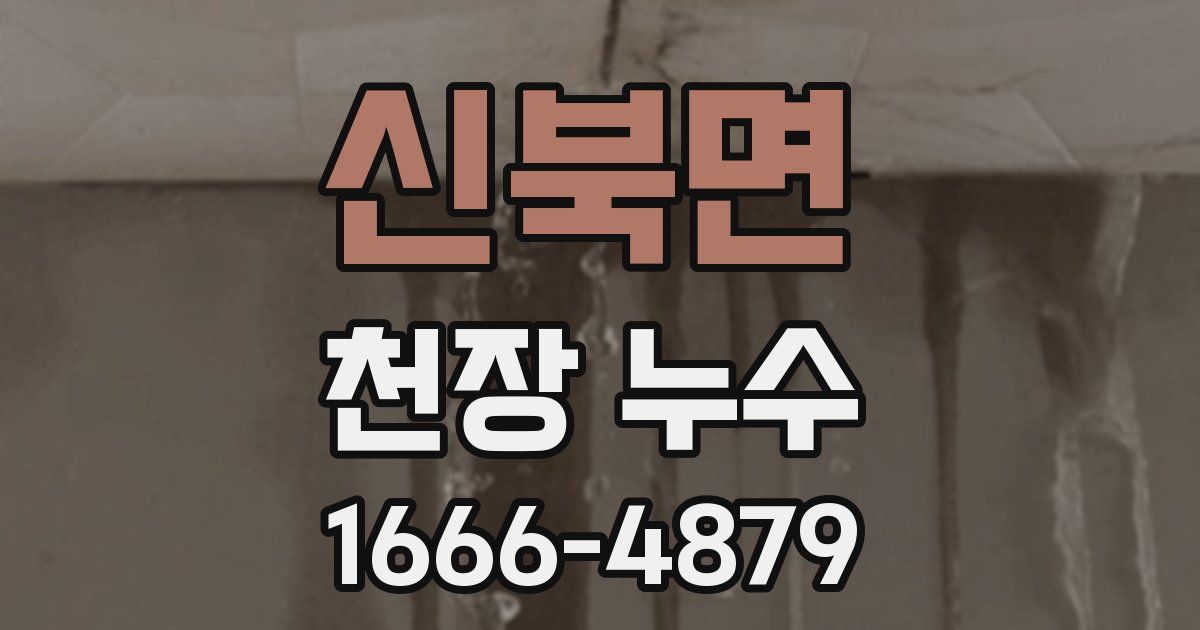 신북면 천장 누수