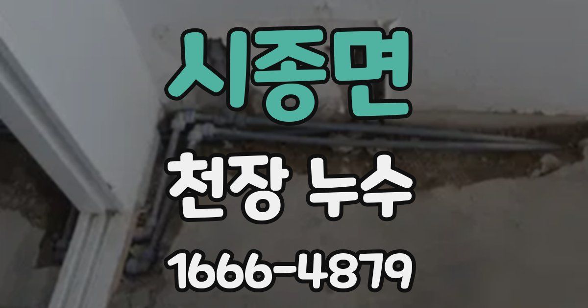 시종면 천장 누수